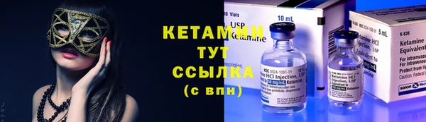 индика Ладушкин