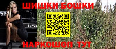 МДПВ Камышлов