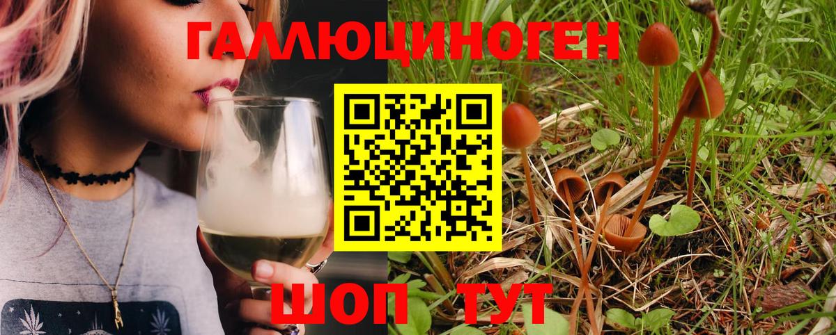 Галлюциногенные грибы GOLDEN TEACHER Новоалександровск